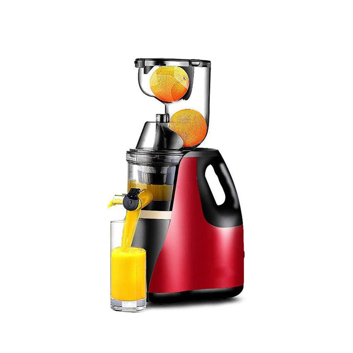 RAF Fruit Juicer 150W