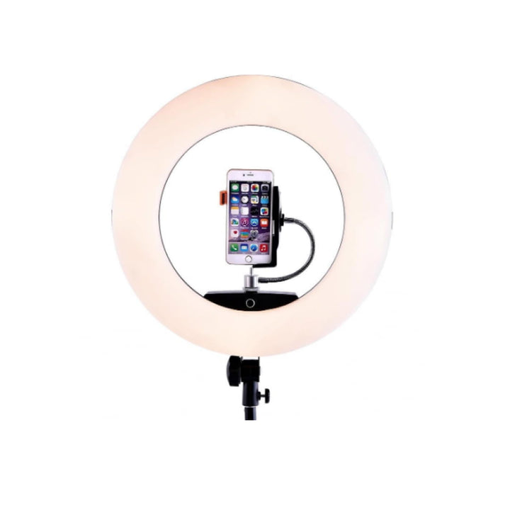 LC-16-II Ring 38 cm LED Light Blogger Lamp with Phone Clip and Mirror Selfie Set With Tripod