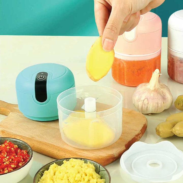 USB Charger Mini Vegetable and Meat Multi Function Food Chopper